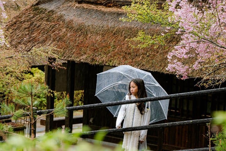 Mt. Fuji Photo Spots, Pink Moss & Cherry Blossom Tour from Tokyo — photo 9