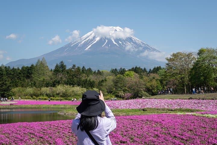 Mt. Fuji Photo Spots, Pink Moss & Cherry Blossom Tour from Tokyo — photo 15