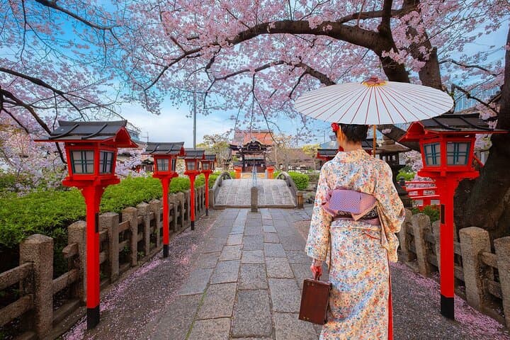 Kyoto Private Customizable Day Tour with Guide and Vehicle — photo 5