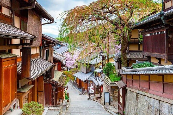 Kyoto Private Customizable Day Tour with Guide and Vehicle — photo 7