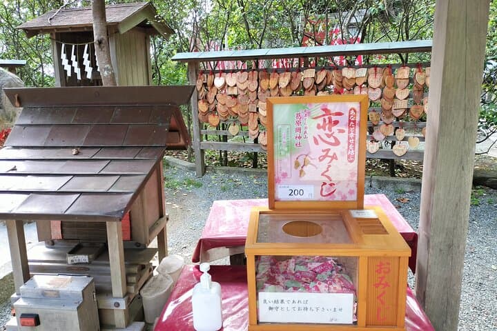 Japanese Sweets and Trekking Tour in Kamakura — photo 10