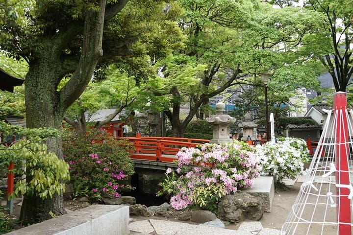 Evening Shrine and Izakaya Japanese Sake Experience Tour — photo 9
