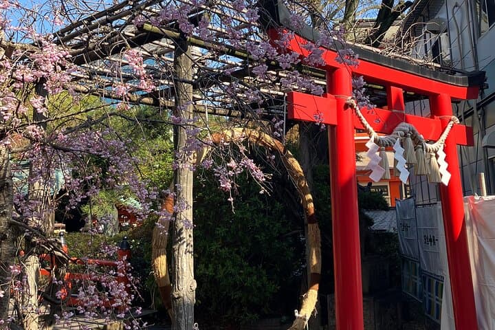 Evening Shrine and Izakaya Japanese Sake Experience Tour — photo 12