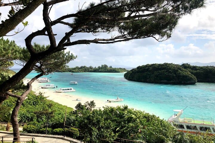 Ishigaki Island Highlights Tour — photo 2