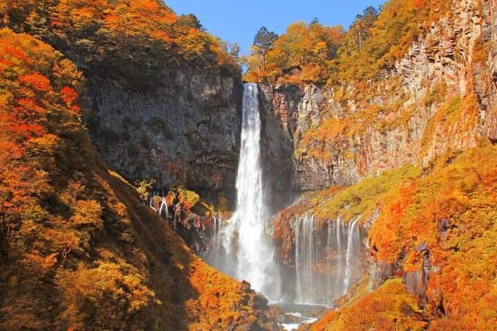 Tokyo Nikko Day Tour — photo 4