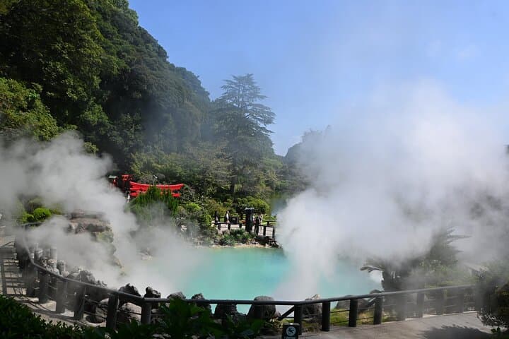 Private Beppu Oita Shore Excursion Hells of Beppu Tour — photo 4