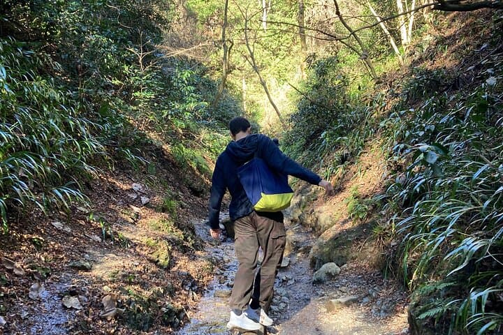 Full Day Hiking Tour at Mt.Takao including Hot Spring — photo 5
