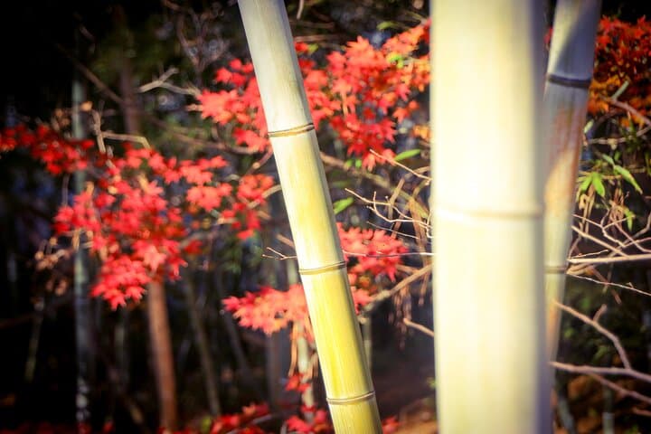 Guided Tour of Nagoya by Car — photo 17