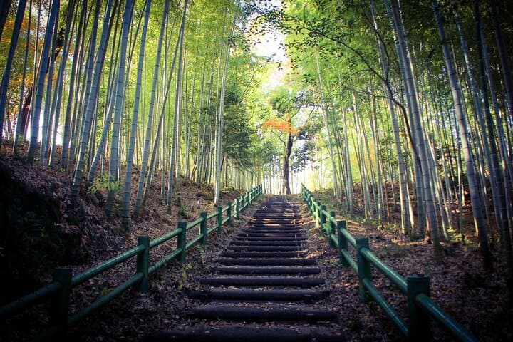 Nagoya: all-inclusive car tour to Korankei valley — photo 17