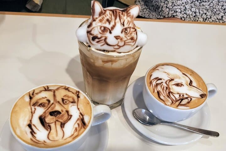 Harajuku Private Tour: Kawaii Fashion & Animal Cafe Included — photo 5