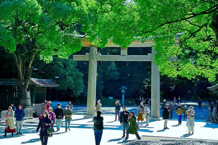 Tokyo: Meiji Shrine and Shinto Culture Walking Tour — photo 2