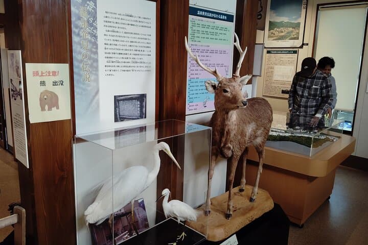 Gero: Hot Spring Town Walk and Japanese Onsen Culture — photo 12