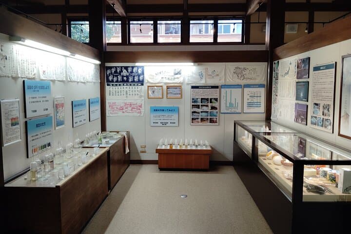 Gero: Hot Spring Town Walk and Japanese Onsen Culture — photo 13