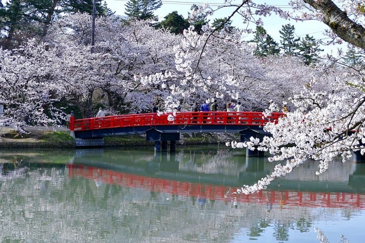 Private Aomori Shore Excursion Hirosaki Castle and Apple Hill — photo 4