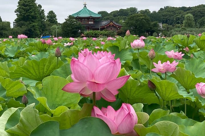 Traditional Neighborhoods and Historical Tours in Tokyo — photo 3