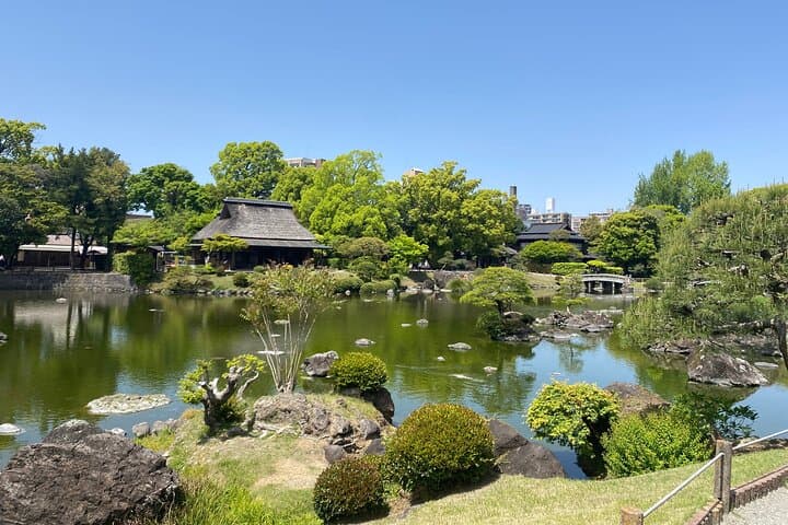 Kumamoto Cherry Blossom Spring Edition Day Tour from Fukuoka — photo 18