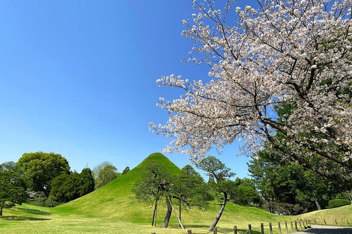 Kumamoto Cherry Blossom Spring Edition Day Tour from Fukuoka — photo 14