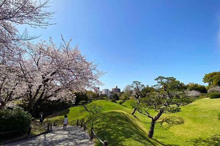 Kumamoto Cherry Blossom Spring Edition Day Tour from Fukuoka — photo 17