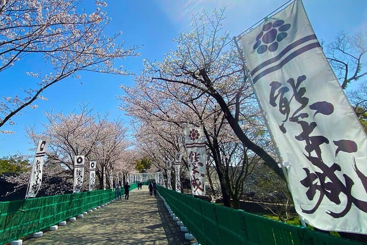 Kumamoto Cherry Blossom Spring Edition Day Tour from Fukuoka — photo 11
