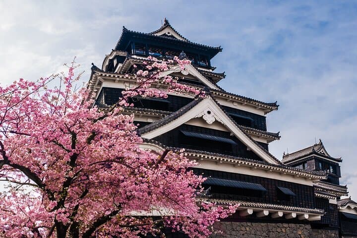 Kumamoto Cherry Blossom Spring Edition Day Tour from Fukuoka — photo 6