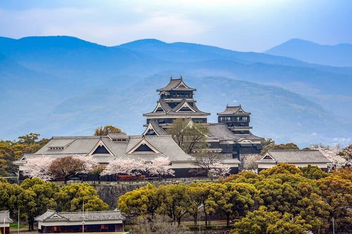 Kumamoto Cherry Blossom Spring Edition Day Tour from Fukuoka — photo 9