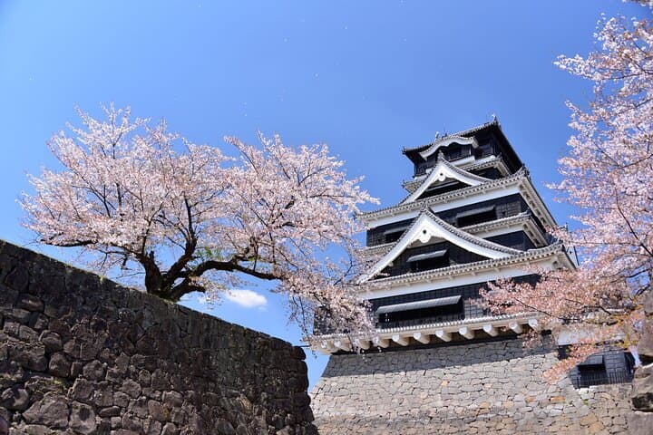 Kumamoto Cherry Blossom Spring Edition Day Tour from Fukuoka — photo 15
