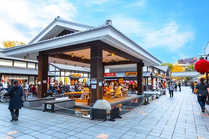 Kumamoto Cherry Blossom Spring Edition Day Tour from Fukuoka — photo 20
