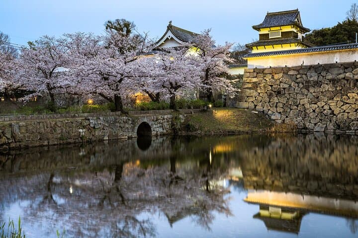 Kumamoto Cherry Blossom Spring Edition Day Tour from Fukuoka — photo 8
