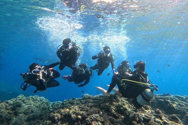 【Okinawa】 Blue Cave Guided Dive No License Needed — photo 4