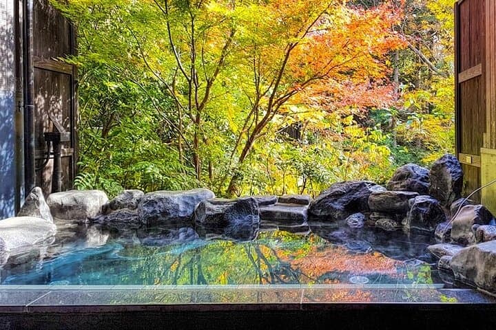 Hakone hot spring day trip from Tokyo with private driver — photo 7