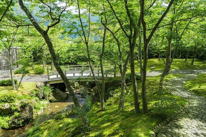 Hakone hot spring day trip from Tokyo with private driver — photo 4