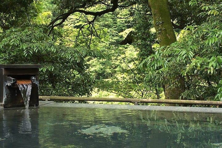 Hakone hot spring day trip from Tokyo with private driver — photo 6