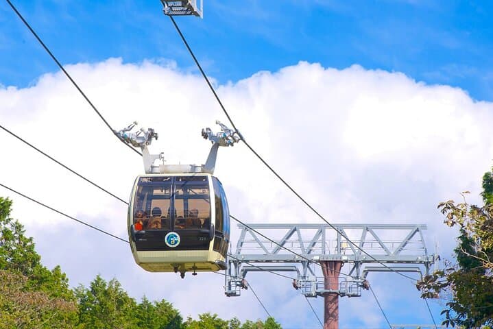 1 Day Tour to Mt. Fuji and Hakone from Tokyo — photo 4