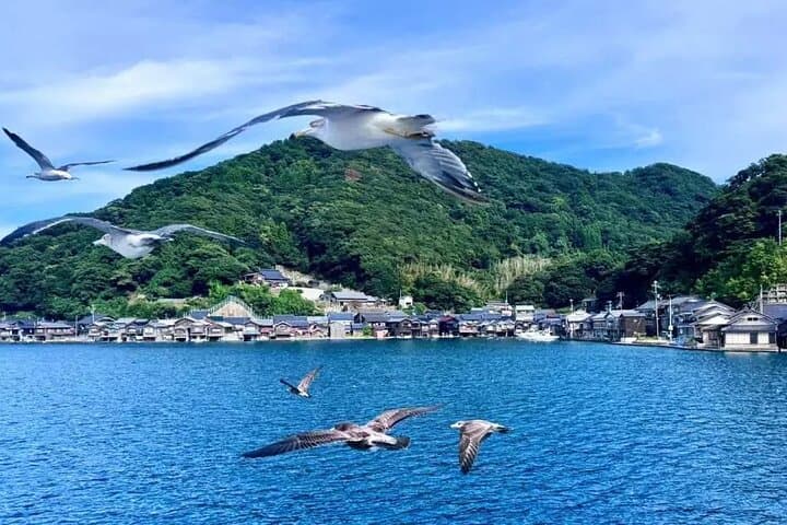 Amanohashidate Day Tour from Kyoto — photo 4