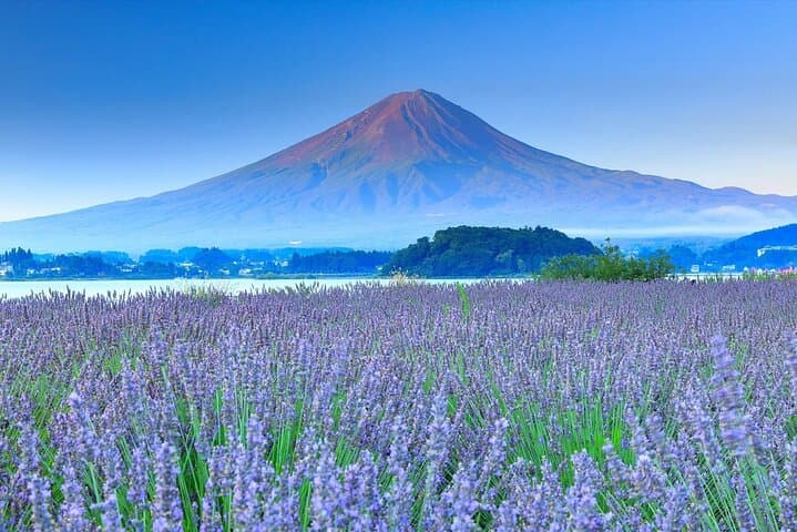 Mount Fuji, Oshino Hakkaiand,Hakone Ropeway Bus Tour Experience — photo 3