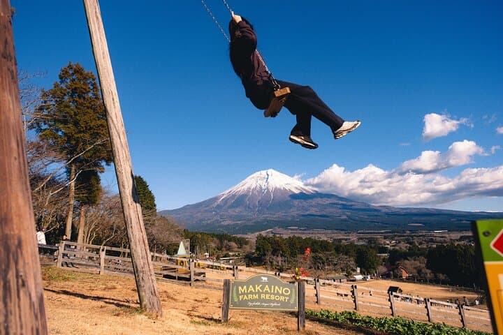 From Tokyo Mt.Fuji, Lake Kawaguchi, Makaino Farm day tour — photo 19