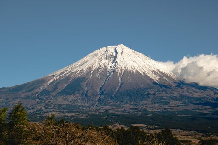 From Tokyo Mt.Fuji, Lake Kawaguchi, Makaino Farm day tour — photo 20