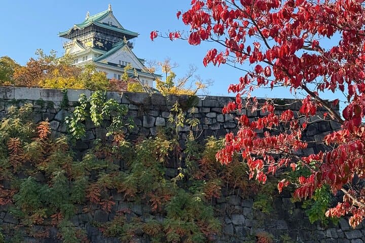 Osaka Castle Guided Tour: Interior, Museum & Gardens — photo 3