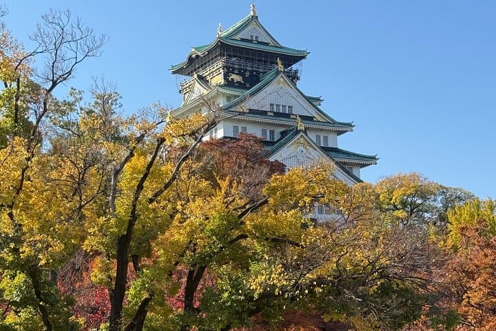 Osaka Castle Guided Tour: Interior, Museum & Gardens — photo 5