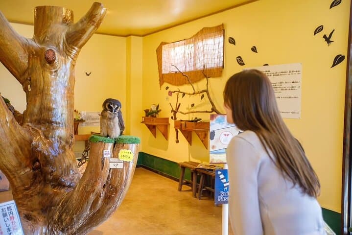 Osaka Animal Encounter Goat Walk at latest Ranches in Kansai — photo 11
