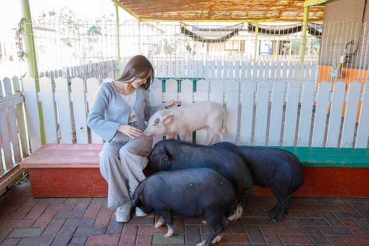 Osaka Animal Encounter Goat Walk at latest Ranches in Kansai — photo 15