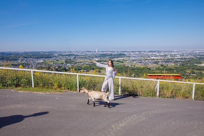 Osaka Animal Encounter Goat Walk at latest Ranches in Kansai — photo 17