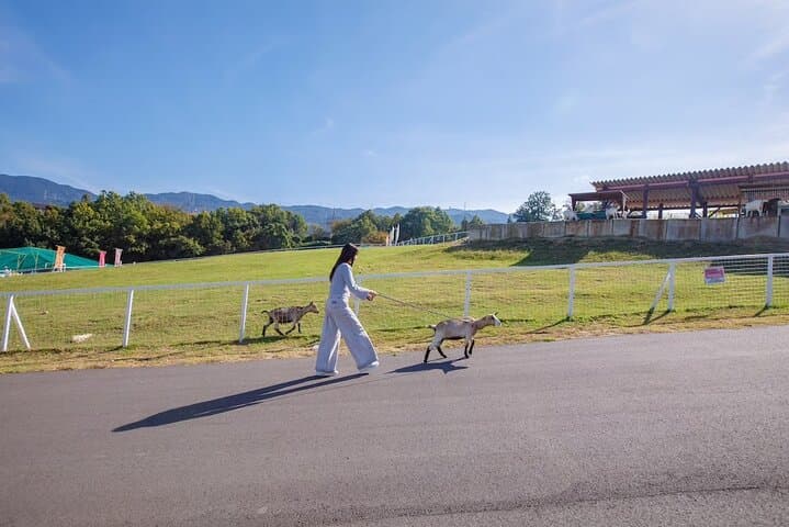 Osaka Animal Encounter Goat Walk at latest Ranches in Kansai — photo 4