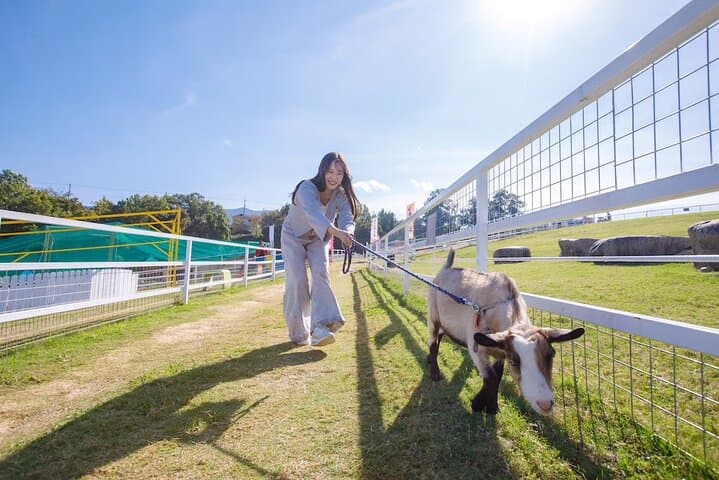 Osaka Animal Encounter Goat Walk at latest Ranches in Kansai — photo 18