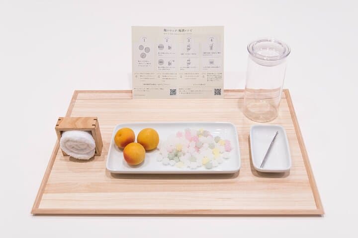 Kamakura Umeshu or Plum Syrup Crafting Workshop — photo 3