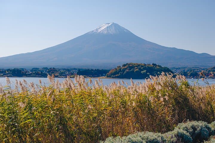 Mt. Fuji Scenic Tour: Lakes, Oshino Hakkai & Chureito PagodaTour — photo 16