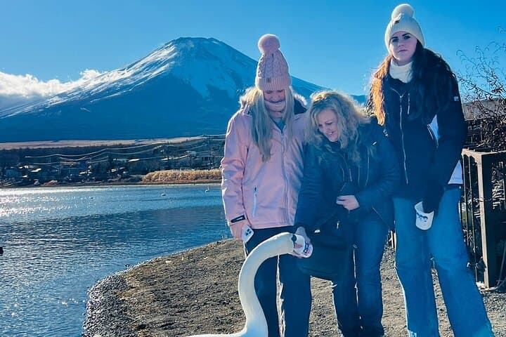 Mt. Fuji & Hakone Private Day Tour with English-Speaking Driver — photo 8