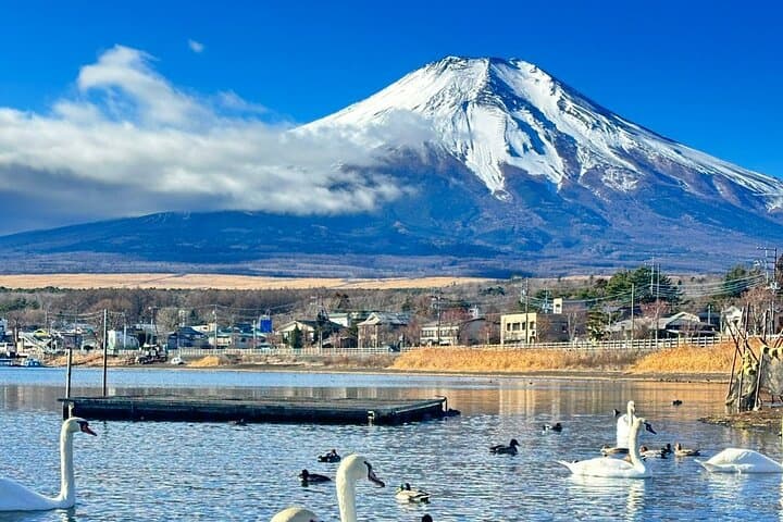 Mt. Fuji & Hakone Private Day Tour with English-Speaking Driver — photo 5