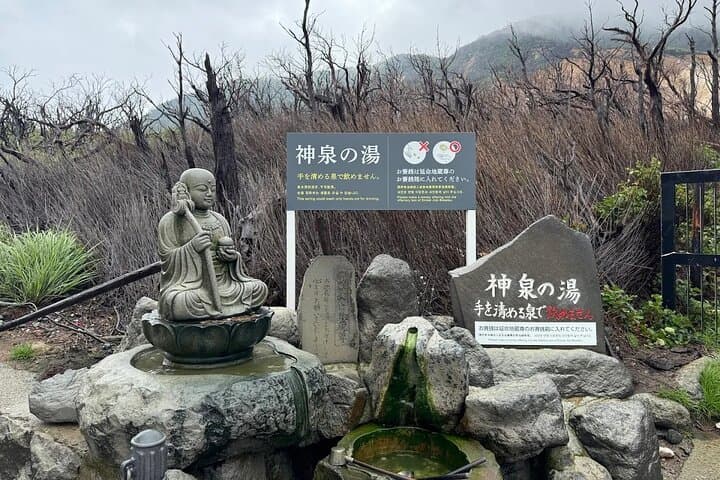 Tokyo: Mount Fuji, Hakone Lake Ashi Cruise and Owakudani Day Tour — photo 20