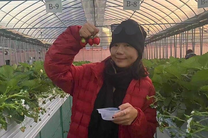 Kawagoe,Ikaho Tour frm Tokyo w/KobeBeef Lunch,Strawberry Picking — photo 19